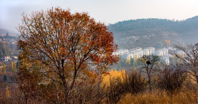 美丽的山村