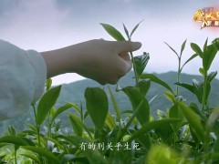 感人瞬间-杜富国